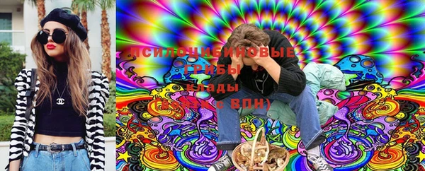 бошки Абаза