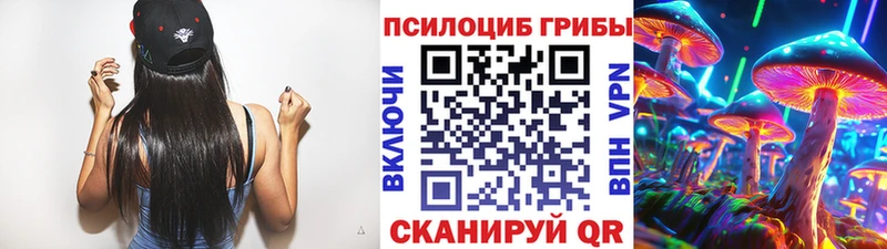 mega рабочий сайт наркота Элиста Галлюциногенные грибы MAGIC MUSHROOMS